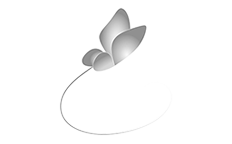 logo-schmitt